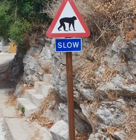 Marbella, San Pedro Del Alcantara, Sea View 公寓 马尔韦利亚