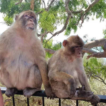 Marbella, San Pedro Del Alcantara, Sea View Марбелья