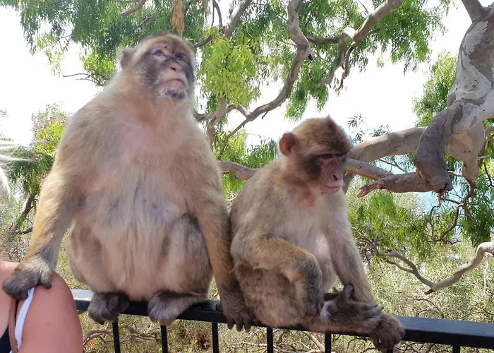 Marbella, San Pedro Del Alcantara, Sea View Marbella