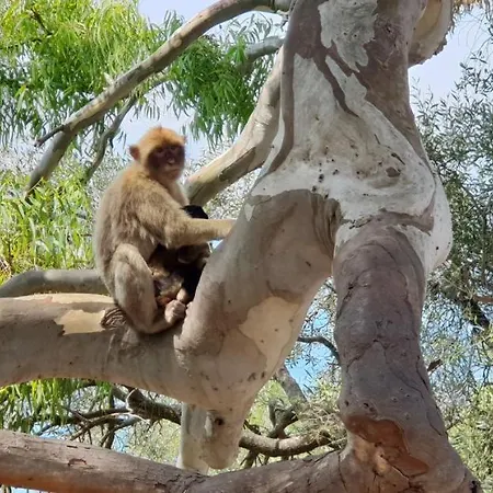 Marbella, San Pedro Del Alcantara, Sea View